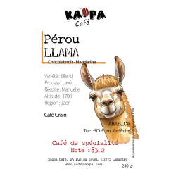 Pérou Llama