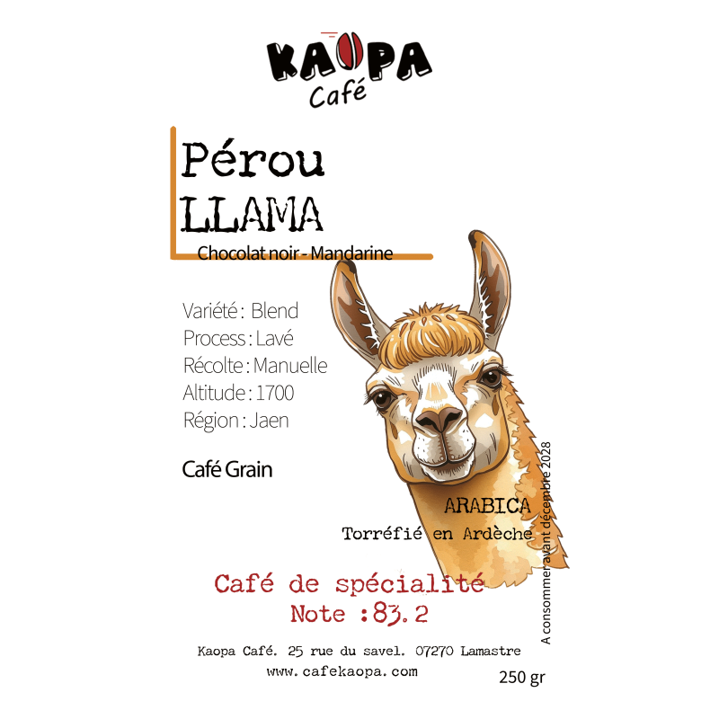 Pérou Llama
