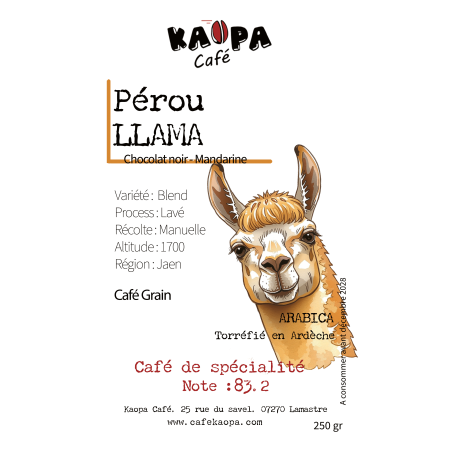Pérou Llama