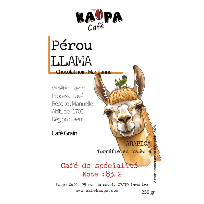 Pérou Llama