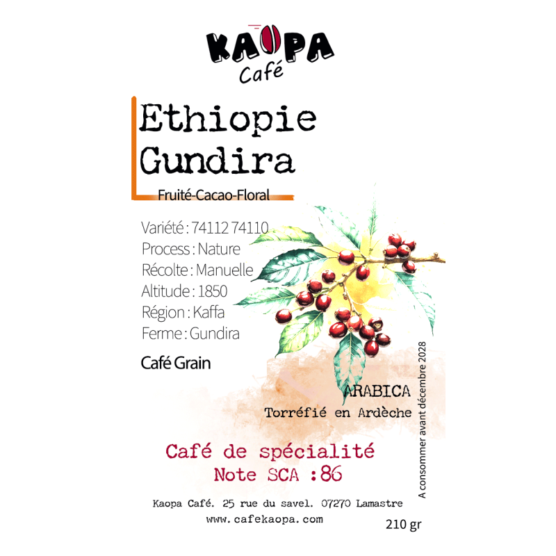 Éthiopie - Kaffa Decha (Gundira Shela)